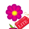 no app image