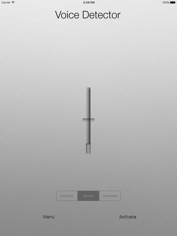 iPad Screenshot 2