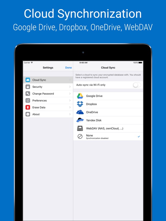iPad Screenshot 5