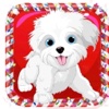 Doggy Dash HD usa dash hd