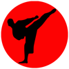 Darren Holland - Shotokan Karate Kihon Kumite アートワーク