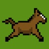 Impossible Horse