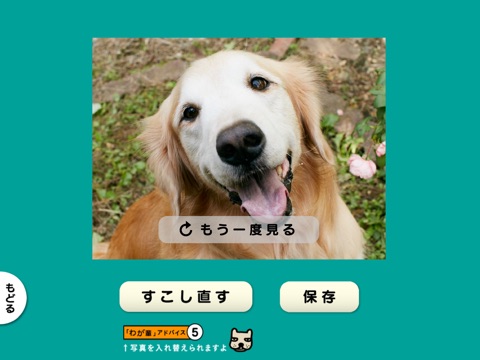 スライドショー作成アプリ「わが輩は、犬」思い出ぽん！のおすすめ画像4