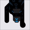 FanFeed - Panthers Edition Sports Panthers Edition