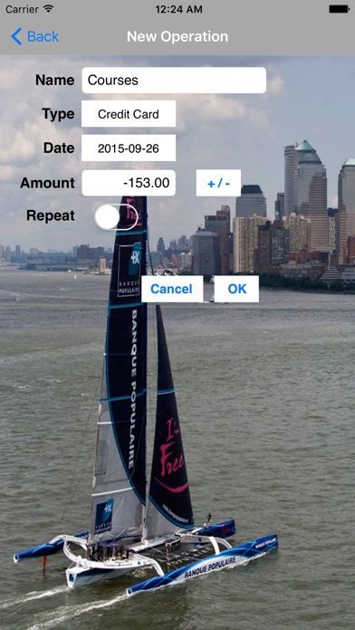 iPhone Screenshot 1