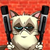 Tony Cat Pro