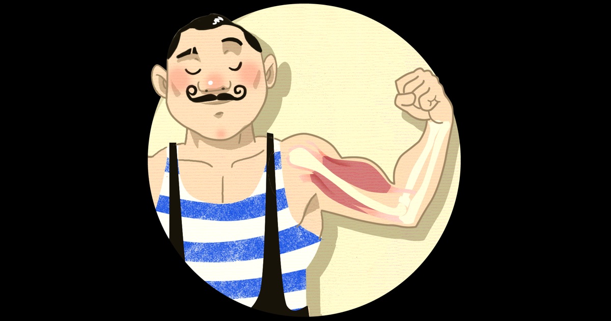 Muscles for Kids on the App Store