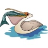 Fish and Birds
