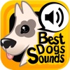 ベスト犬サウンド+