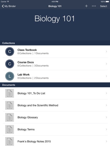 iPad Screenshot 2