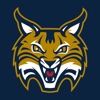 Quinnipiac Bobcats