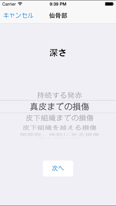 iPhone スクリーンショット 4
