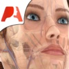 app_icon
