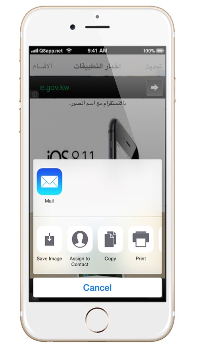 iPhone Screenshot 3