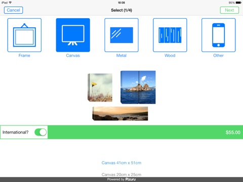 iPad Screenshot 5