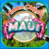 Hidden Objects Maui Island Vacation