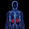 Kidney Disease 101:KIdney Stones,Healthy Diet and Chronic Kidney Disease heart disease diet 
