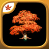 Fire Maple Games - 최고의 모험 게임 컬렉션 - Fire Maple Games