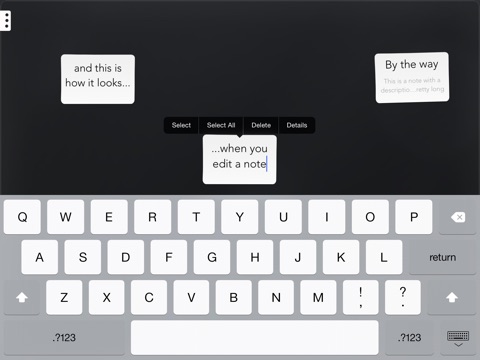iPad Screenshot 5