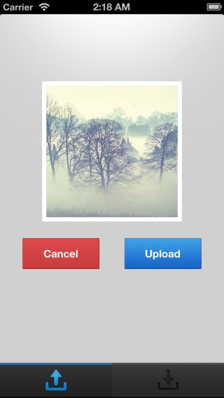 iPhone Screenshot 2