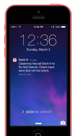 iPhone Screenshot 5