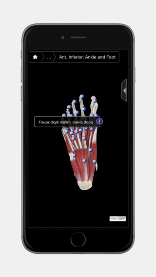 iPhone Screenshot 4