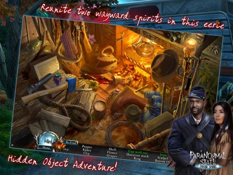 iPad Screenshot 2