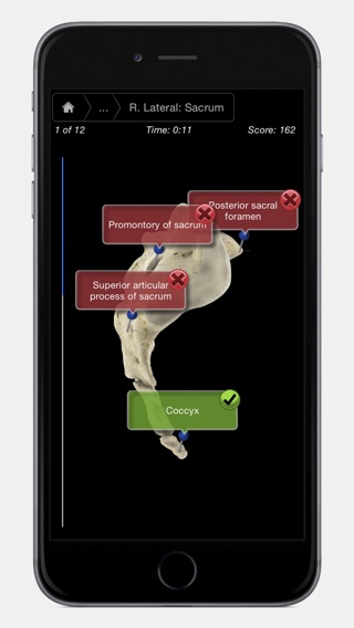iPhone Screenshot 5