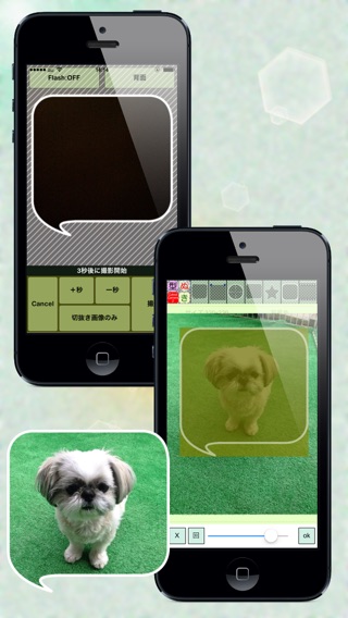 iPhone Screenshot 2
