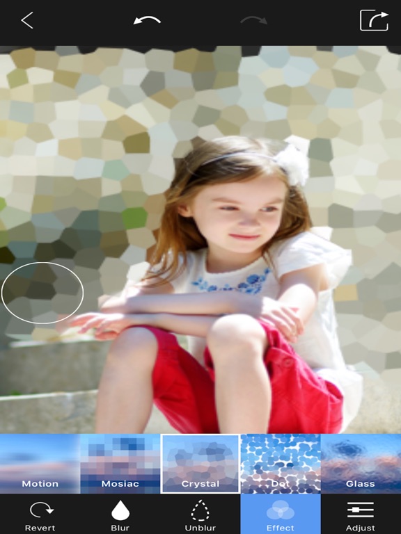Screenshots of Blur Photo Background - Touch Blur Effect Editor for iPad