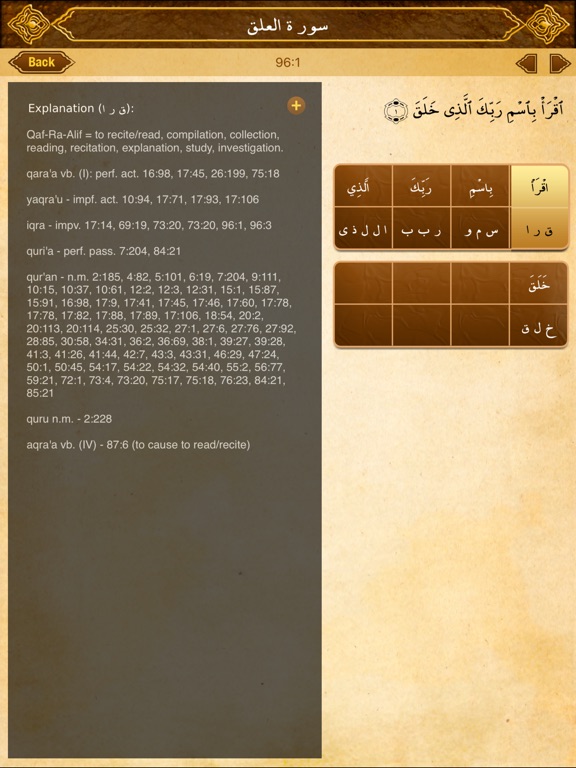 iPad Screenshot 3