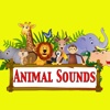 Animal Sounds for toddler and young kids Premium | learn and entertain with fun animal sounds list of animal sounds 