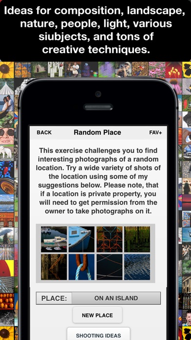iPhone Screenshot 4