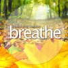Breathe Stress Reduction Meditation – The Ultimate Guided Stress Reduction Meditation Series closed reduction percutaneous pinning 