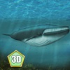 Whale Survival Simulator 3D Full - Ocean animal survival simulator survival 