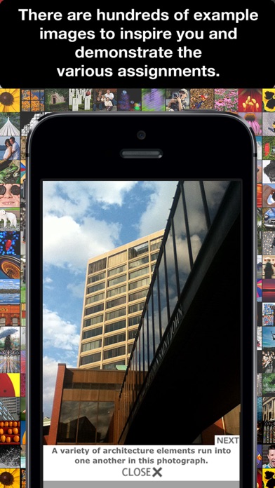 iPhone Screenshot 5