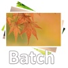 Acc Image Batch Process