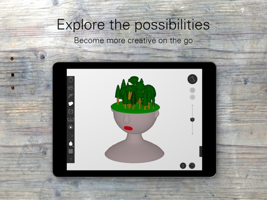 iPad Screenshot 4