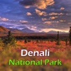 Denali National Park Tourist Guide gmc denali 