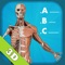 Anatomy Quiz - muscle...