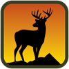 no app image