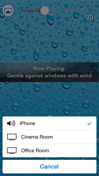 iPhone Screenshot 2
