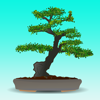 nipon phuhoi - Bonsai Tree Guide - Everything You Need To Know Bonsai Tree ! アートワーク