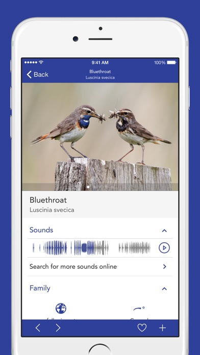 iKnow Birds 2 PRO - The Field Guide to the Birds of North ...