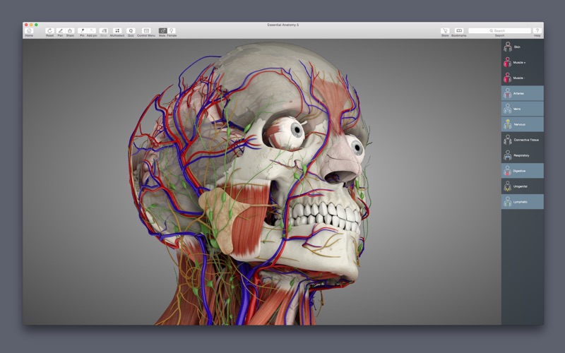 human anatomy software for mac