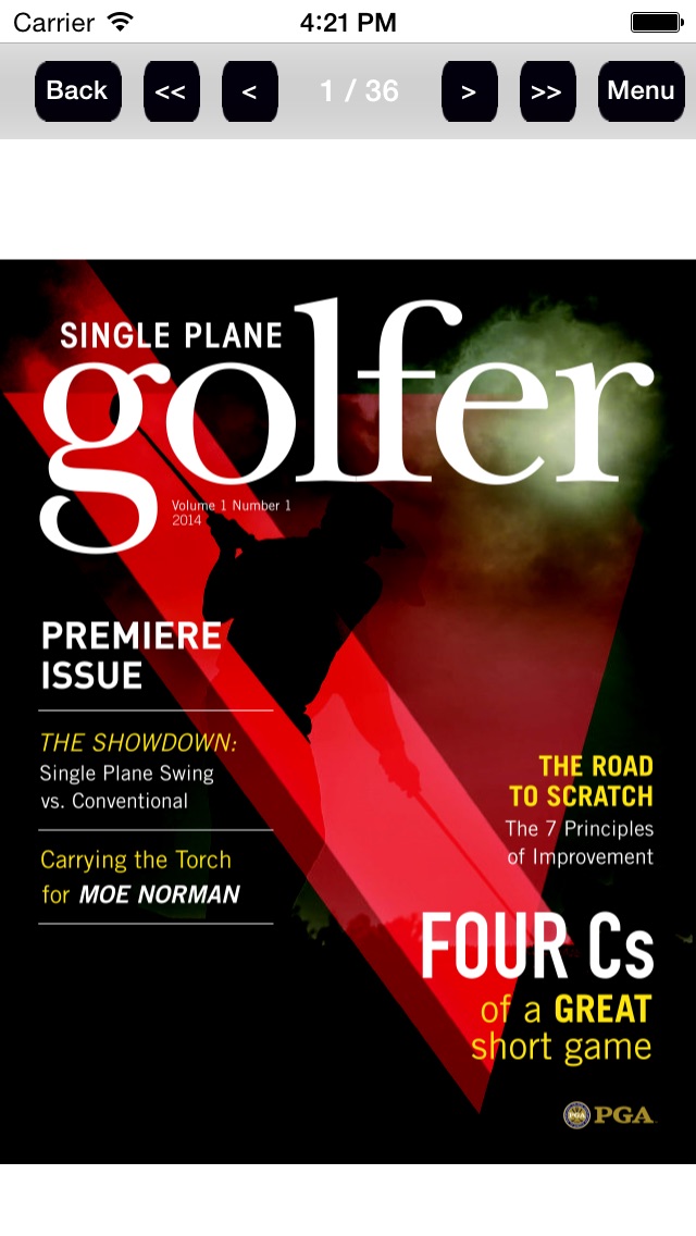 Single Plane Golfer screenshot1