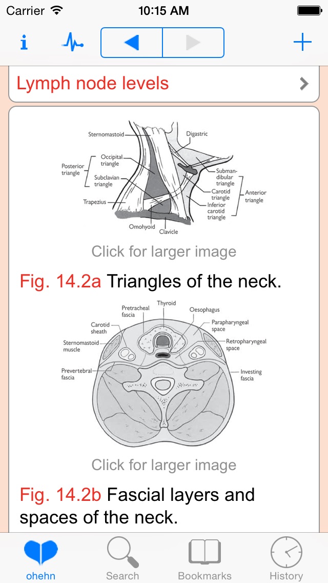 oxford handbook of surgery pdf download