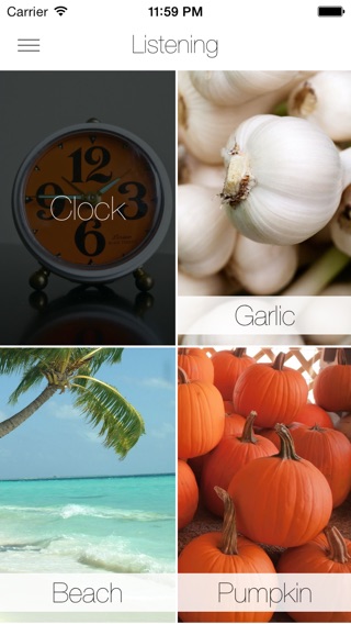 iPhone Screenshot 5