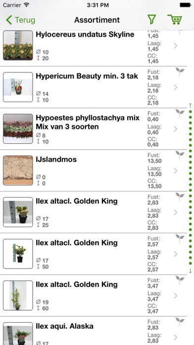 iPhone schermafbeelding 2