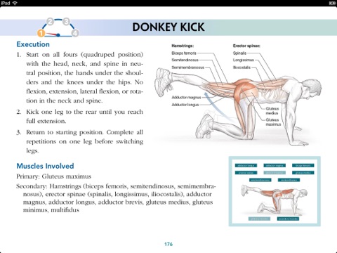 Bodyweight Strength Training Anatomy Free Download